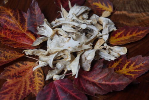 Dried Miatake Mushrooms (Grifola frondosa)
